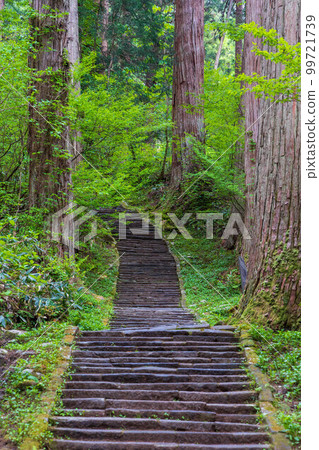 Early summer in Tsuruoka, Yamagata Mt. Early summer in Tsuruoka, Yamagata Mt. 99721739