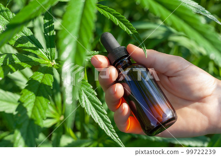 Medical bottle with dropper in hand against a background of succulent shoots, leaves of medicinal cannabis. Flat lay photography Medical bottle with dropper in hand against a background of succulent shoots, leaves of medicinal cannabis. Flat lay photography 99722239