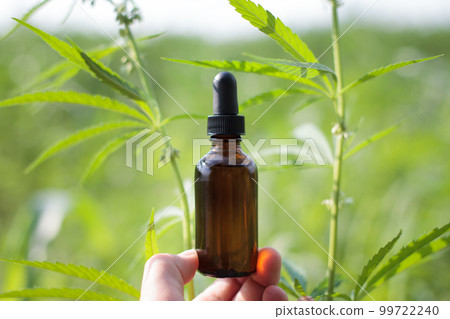 Hand presentation of a bottle of CBD oil on a background of herbal pendas, medical marichuan leaves. 99722240