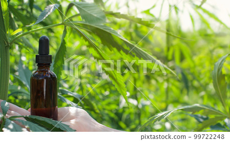 Cannabis oil and leaves in hands holding brown bottle over leaves of cannabis plant beautiful blurred background. Medicine concept selective focus. Cannabis oil and leaves in hands holding brown bottle over leaves of cannabis plant beautiful blurred background. Medicine concept selective focus. 99722248