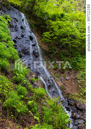 Early summer in Tsuruoka, Yamagata, Mt. Haguro in the fresh greenery, Dewa Sanzan Shrine, Suga Falls Early summer in Tsuruoka, Yamagata, Mt. Haguro in the fresh greenery, Dewa Sanzan Shrine, Suga Falls 99722288