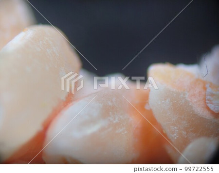 Appearance of orange mold on old rice 99722555