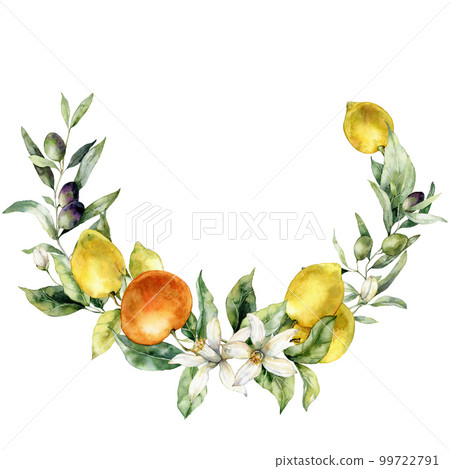 Watercolor tropical wreath of flower, ripe lemons, oranges, buds and leaves. Hand painted branch of fresh fruits isolated on white background. Tasty food illustration for design, print, background. 99722791
