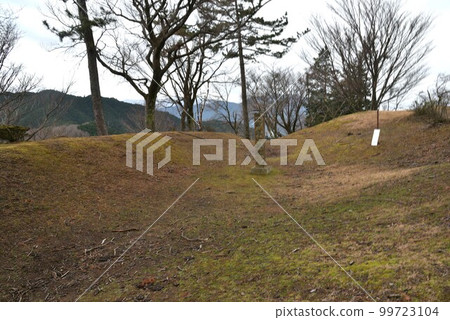 桐山城 [三重縣津市] 99723104