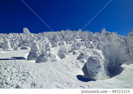 [定額]冬季的Nishizokamayama（2月/ Azuma Renge） 99723125