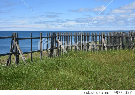 有木柵欄和海的風景照片素材六月[拍攝地點：北海道天鹽町] 99723357
