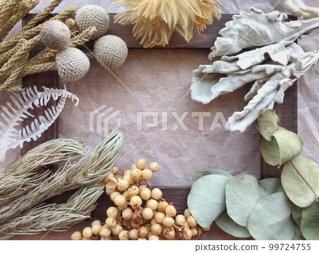 背景材料植物架 背景材料植物架 99724755
