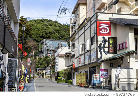 靜岡縣濱松市濱名湖觀山寺溫泉門前通 靜岡縣濱松市濱名湖觀山寺溫泉門前通 99724769