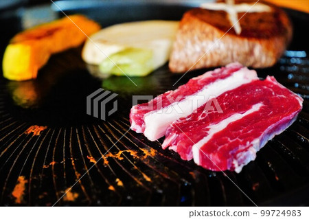 Vegetables and wild game meat grilled on an iron plate 99724983