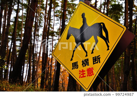 穿越馬的注意力 99724987