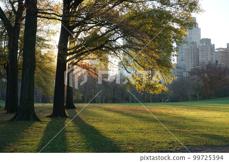冬天的紐約中央公園 99725394