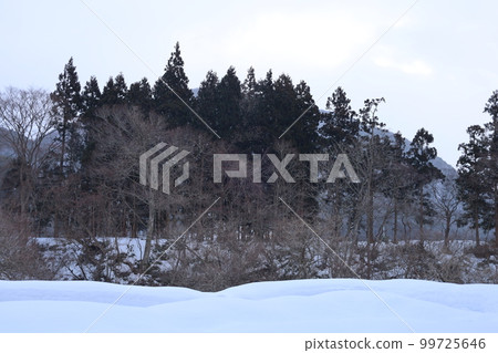 雪，天空，星星，感受冬天風景的旅行冬天的天空很容易改變Amenimo makezu Kenji Miyazawa 99725646