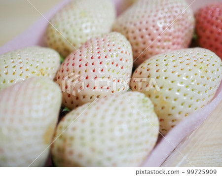 Strawberry Strawberry 99725909