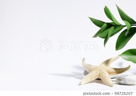 Starfish on a white background with leaves and hard shadows. Mock up for tourism, spa, recreation or spa treatment. Summer tropical background. Starfish on a white background with leaves and hard shadows. Mock up for tourism, spa, recreation or spa treatment. Summer tropical background. 99726207