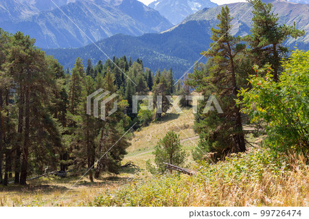 natural landscape in the mountains natural landscape in the mountains 99726474