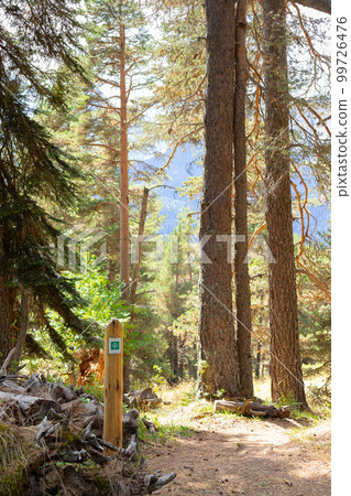 sign hiking trail on a wooden post in the autumn mountain forest. sign hiking trail on a wooden post in the autumn mountain forest. 99726476