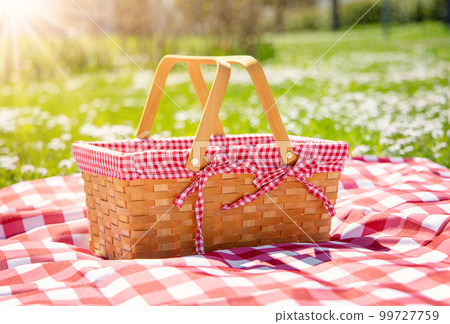 Picnic duvet with empty bascket on the meadow in nature. 99727759