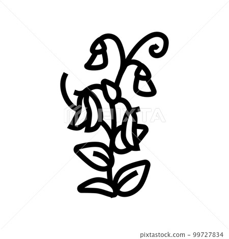 pea plant healthy line icon vector illustration 99727834