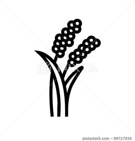 millet plant food line icon vector illustration 99727850