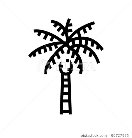 queen palm tree line icon vector illustration 99727955