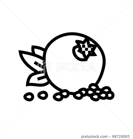pomegranate whole grain leaf line icon vector illustration pomegranate whole grain leaf line icon vector illustration 99728005