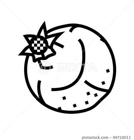 pomegranate fruit ripe line icon vector illustration pomegranate fruit ripe line icon vector illustration 99728011