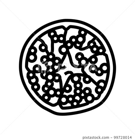 cut whole pomegranate line icon vector illustration 99728014