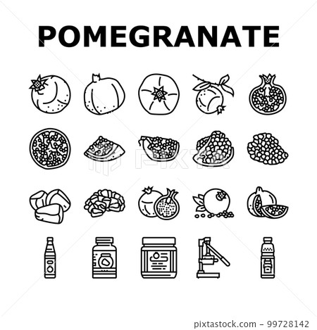 pomegranate fruit red food icons set vector 99728142