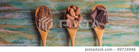 Spoons with cocoa powder, cocoa beans and pieces of chocolate BANNER, LONG FORMAT Spoons with cocoa powder, cocoa beans and pieces of chocolate BANNER, LONG FORMAT 99728946