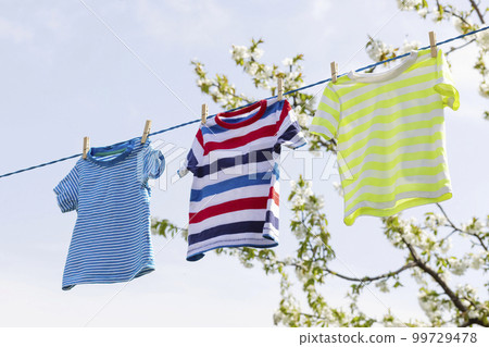 T-shirts hanging on clothing line in front of blooming apple trees in the garden T-shirts hanging on clothing line in front of blooming apple trees in the garden 99729478