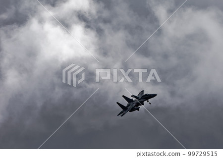 F-15 DJ攻擊者 99729515