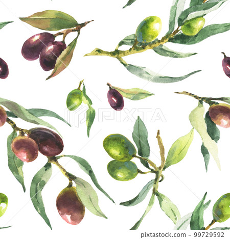 Watercolor seamless pattern of green and black olive branches on a white background. 99729592