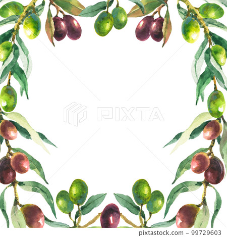 watercolor contour color black and green olive plant border frame square card on white for your text watercolor contour color black and green olive plant border frame square card on white for your text 99729603