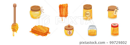 Honey with Dipper and Honeycomb with Sticky Golden Nectar Vector Set 99729802