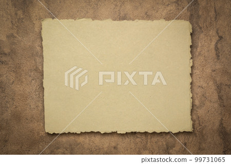 abstract in  earth tone, a sheet of blank Indian handmade rag paper against textured bark paper, copy space 99731065
