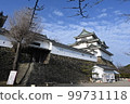 A splendid Wakayama castle that shines white in fine weather 99731118