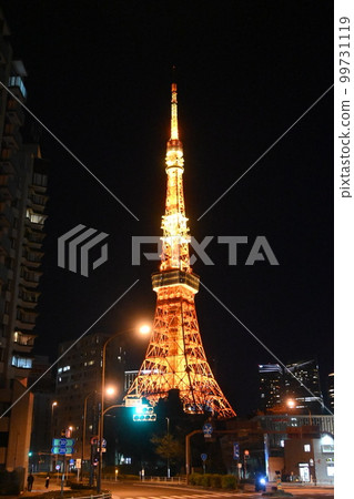 從閃耀在冬日夜空中的小鎮看到的東京塔 從閃耀在冬日夜空中的小鎮看到的東京塔 99731119