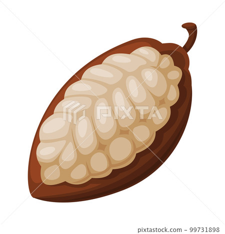 Chocolate cocoa bean. Chocolate dessert, sweets, drinks and pastry food ingredient cartoon vector illustration 99731898
