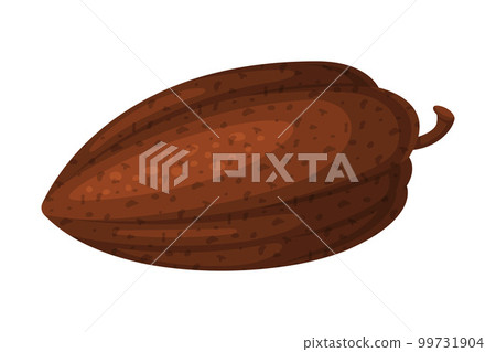 Dried cocoa bean. Chocolate dessert, drinks and pastry food ingredient cartoon vector illustration 99731904