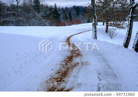 Slippery winter road, sidewalk in the Park, covered with ice and sprinkled with sand. Anti-skid and safety on ice. Beautiful park landscape in winter Slippery winter road, sidewalk in the Park, covered with ice and sprinkled with sand. Anti-skid and safety on ice. Beautiful park landscape in winter 99731980