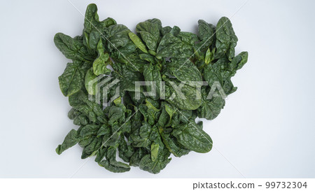 Shrinking spinach white background Shrinking spinach white background 99732304
