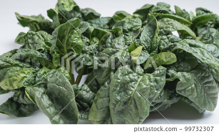 Shrinking spinach white background 99732307