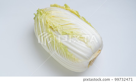 大白菜白色背景 99732471
