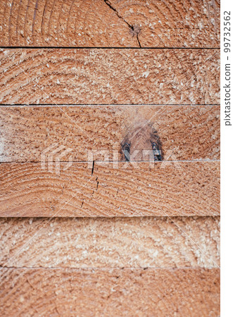 Background texture. Ends of stacked edged boards. Top view. Copy space, vertical Background texture. Ends of stacked edged boards. Top view. Copy space, vertical 99732562