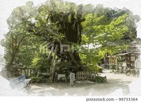 Watercolor-style Hitokotonushi Shrine, Chiyu Gingko, Gose City, Nara Prefecture 99733364