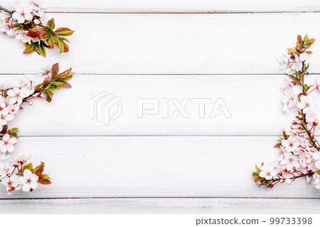 Spring background flower blossom and April floral nature with blooming tree on wooden. Easter Sunny day. Orchard abstract background. Springtime. Spring background flower blossom and April floral nature with blooming tree on wooden. Easter Sunny day. Orchard abstract background. Springtime. 99733398