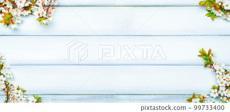 Spring background table banner. May flowers and April floral nature on wooden. For banner, branches of blossoming cherry against background. Copy space. Spring background table banner. May flowers and April floral nature on wooden. For banner, branches of blossoming cherry against background. Copy space. 99733400