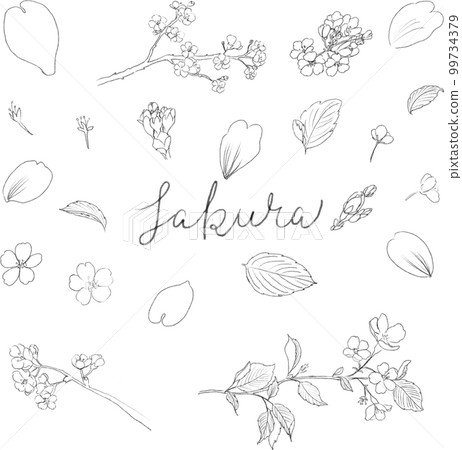 櫻花線描集 櫻花線描集 99734379
