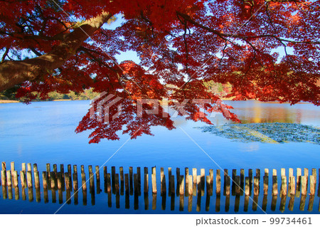 秋季南港公園（福島縣白川市） 99734461