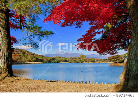Autumn Nanko Park (Shirakawa City, Fukushima Prefecture) 99734465